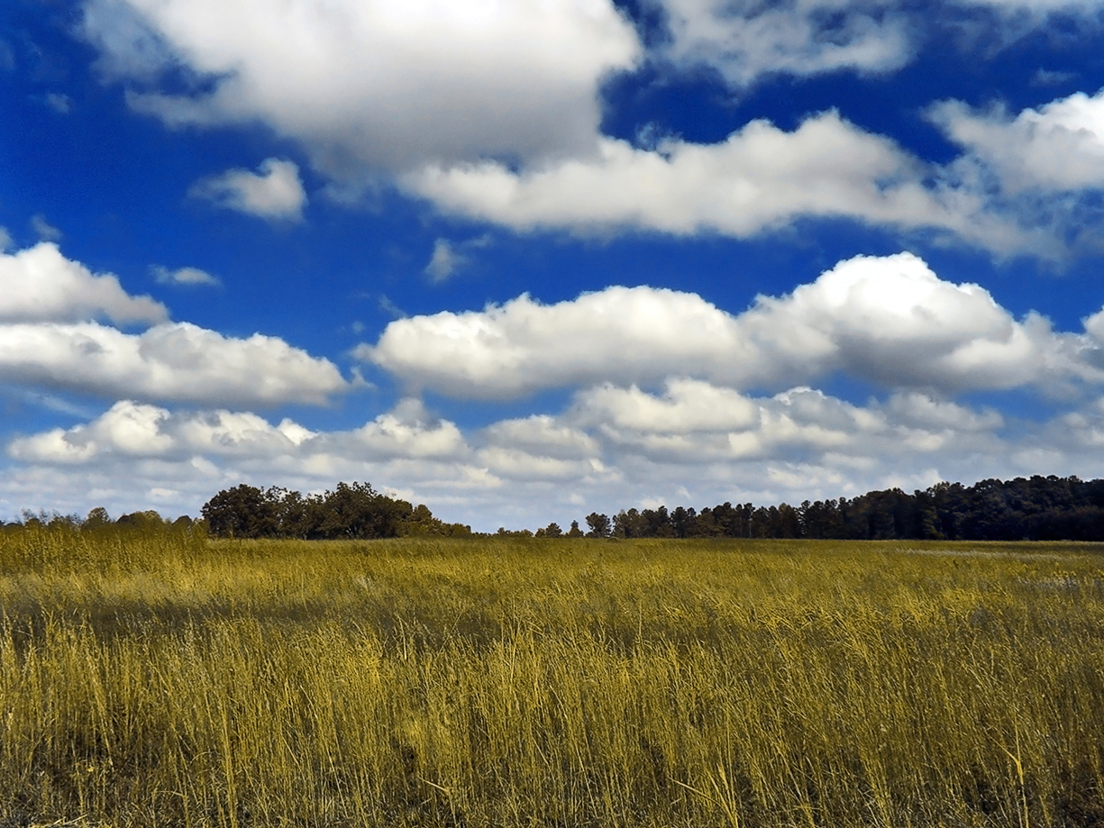 A Quick Guide To Cloud Types